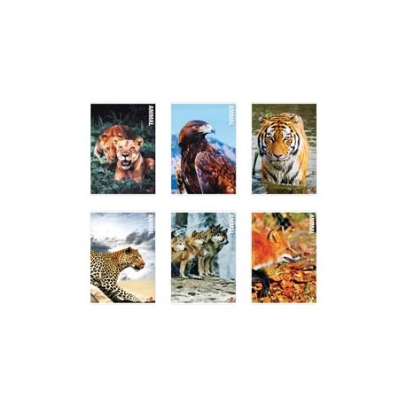 Maxiquaderno Animal fantasia - A4 - 40+2 fogli - 80gr - rigo di 3a - BM