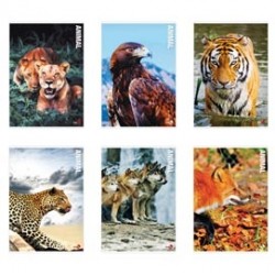 Maxiquaderno Animal fantasia - A4 - 1 rigo - 40+2 fogli - 80gr - BM
