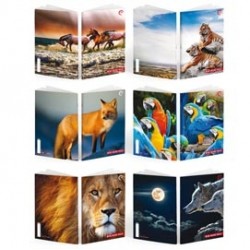 Maxiquaderno Be More Wild - A4 - rigo di 1a - 36+2 fogli - 100gr - BM