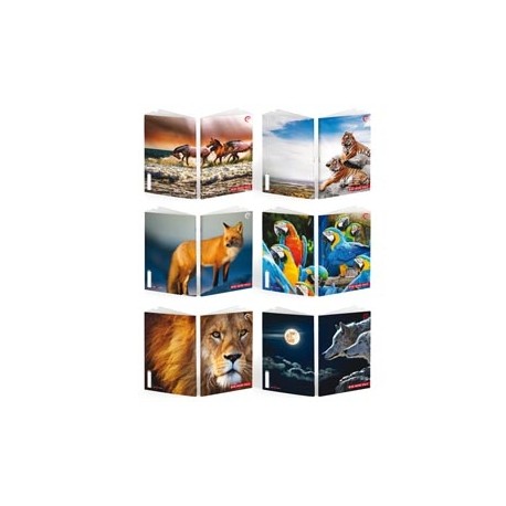 Maxiquaderno Be More Wild - A4 - 36+2 fogli - 100gr - rigo di 1a - BM