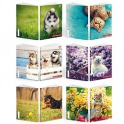 Maxiquaderno Be More Baby - A4 - 36+2 fogli - 100gr - rigo di 3a - BM