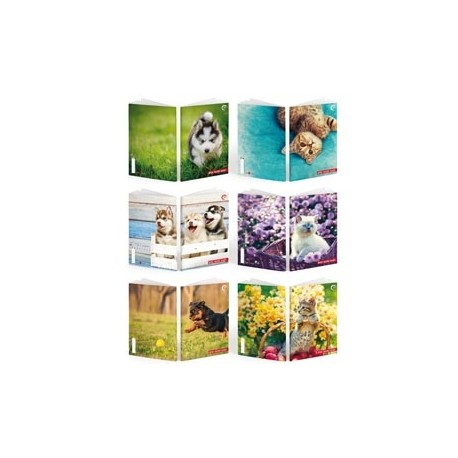 Maxiquaderno Be More Baby - A4 - rigo di 3a - 36+2 fogli - 100gr - BM