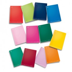 Maxiquaderno Monocromo - A4 - 1 rigo - 42 fogli - 80gr -Pigna