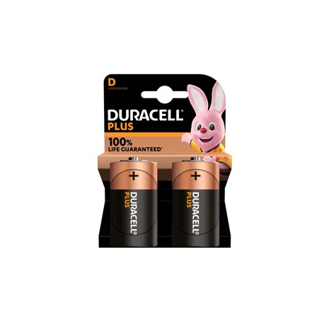 Pila Torcia D Plus100 - MN1300 - Duracell - blister 2 pezzi