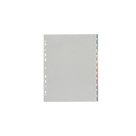 Separatore - 12 tacche personalizzabili - PP - 22x30 cm - grigio - Favorit