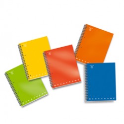 Maxiquaderno Monocromo - A4 - 5mm - 100 fogli - 80gr - 1 rigo - c/fori - spiralato - Pigna