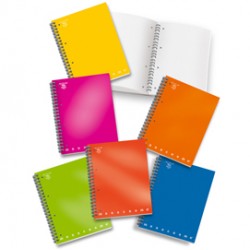 Maxiquaderno Monocromo - A4 - 1 rigo - 100 fogli - 80gr - 1 rigo - c/fori - spiralato - Pigna