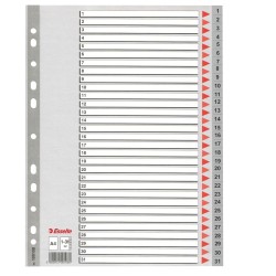 Separatore numerico 1/31 - PP - A4 - grigio - Esselte