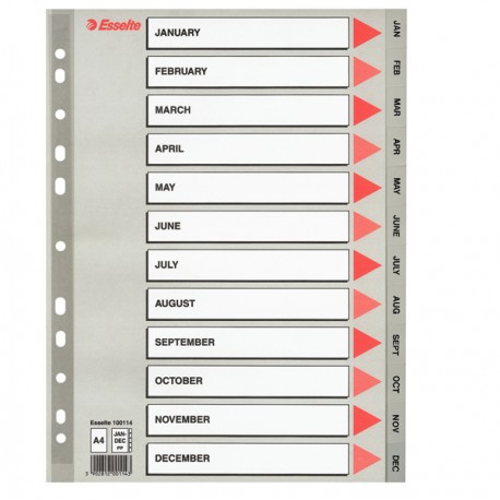 Separatore mensile Gen/Dic - PP - A4 - grigio - Esselte