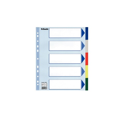 Separatore - 5 tasti colorati - PP - A4 maxi - 24,5x29,7 cm - multicolore - Esselte