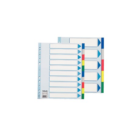 Separatore - 10 tasti colorati - PP - A4 maxi - 24,5x29,7 cm - multicolore - Esselte