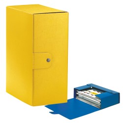 Scatola progetto Eurobox - dorso 15 cm - 25x35 cm - giallo - Esselte