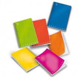 Maxiquaderno Monocromo - A4 - 4mm - 70 fogli - 80gr - c/fori  - spiralato - Pigna