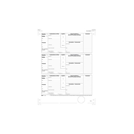 Modulo continuo carico/scarico rifiuti detentori (Mod. A) - 12"x 24 - 250 fogli - Edipro