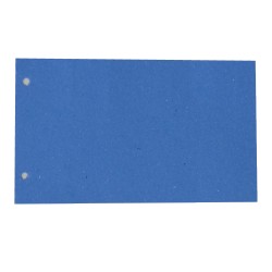 Separatori - cartoncino Manilla 200 gr - 12,5 x 23 cm - azzurro - Cartotecnica del Garda - conf. 200 pezzi