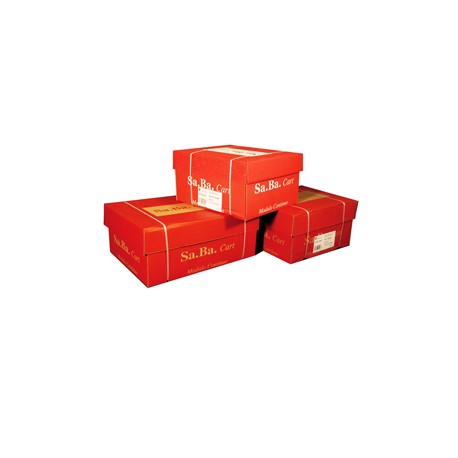 Carta in modulo continuo - 24 x 11 " - 2 copie - 53 gr - piste staccabili - bianco - Sabacart - conf. 1000 fogli