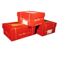 Carta in modulo continuo - 37,5 x 11 " - 2 copie - 53 gr - piste fisse - bianco - Sabacart - conf. 1000 fogli