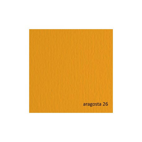 Cartoncino Elle Erre - 50x70cm - 220gr - aragosta 26 - Fabriano - blister 20 fogli