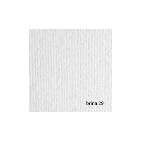 Cartoncino Elle Erre - 50x70cm - 220gr - brina 29 - Fabriano - blister 20 fogli