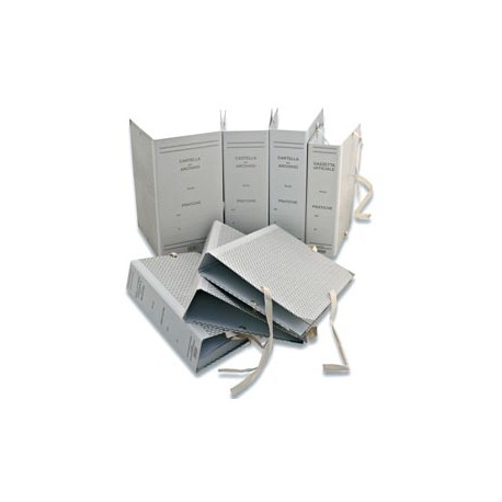 Faldone - legacci rivettati - 35 x 25 cm - dorso 20 cm - grigio - Euro-cart