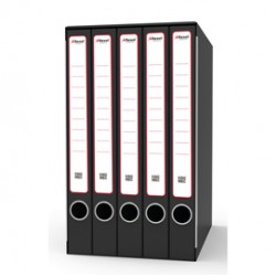 Gruppo registratori Quintetto - 23 x 32 cm - con 5 cartelle 3 lembi - dorso 23 cm - grigio - Rexel