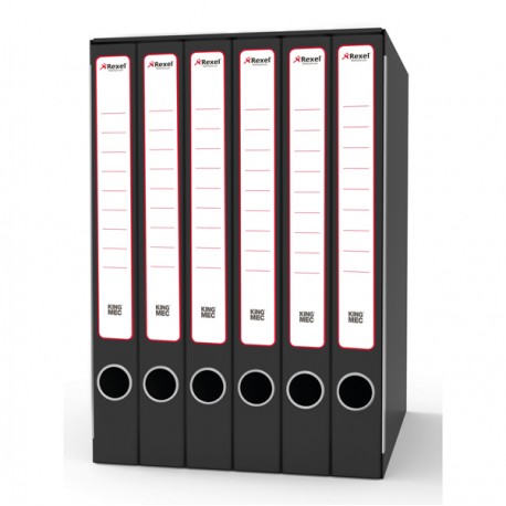 Gruppo registratori Sestetto - 23 x 33 cm - con 6 cartelle 3 lembi - dorso 23 cm - grigio - Rexel