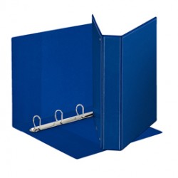 Raccoglitore personalizzabile Display - 22 x 30 cm - 4 anelli a D 40 mm - dorso 5,9 cm - blu - Esselte