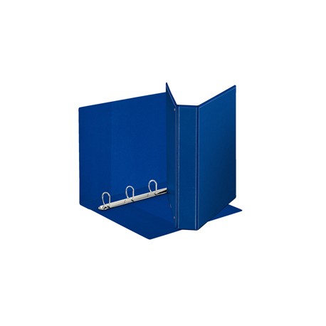 Raccoglitore personalizzabile Display - 22 x 30 cm - 4 anelli a D 40 mm - dorso 5,9 cm - blu - Esselte