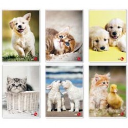 Maxiquaderno Cute fantasia - A4 - 40+2 fogli - 80gr - 1rigo c/margine - BM