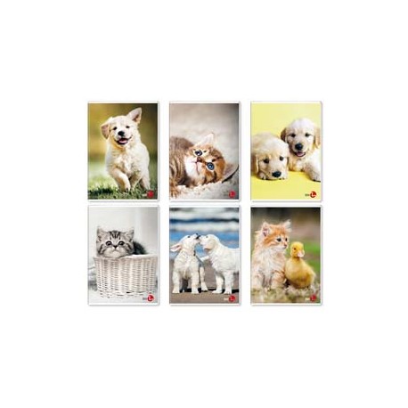 Maxiquaderno Cute fantasia - A4 - 40+2 fogli - 80gr - 1rigo c/margine - BM