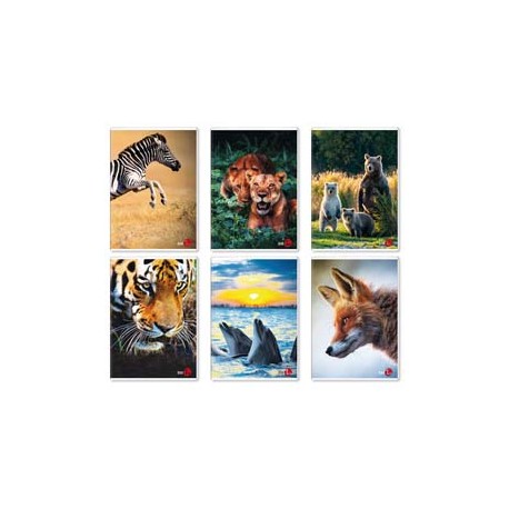 Maxiquaderno Animal fantasia - A4 - 40+2 fogli - 80gr - rigo di 1a - BM