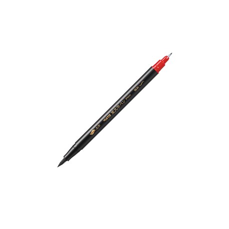 Penna a doppia punta per disegnare e illustrare inchiostro nero Pentel