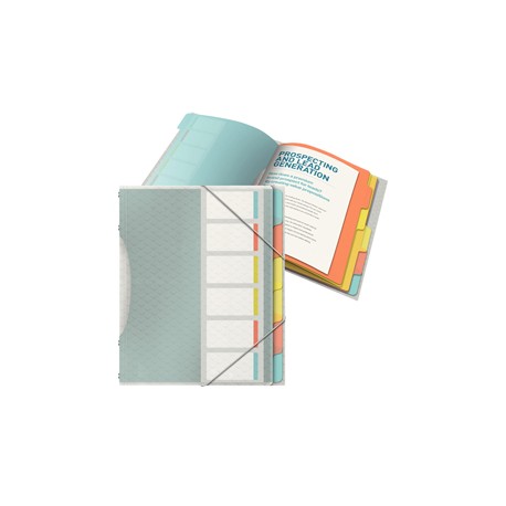 Libro monitore con 6 divisori multicolore Colour'Ice Esselte