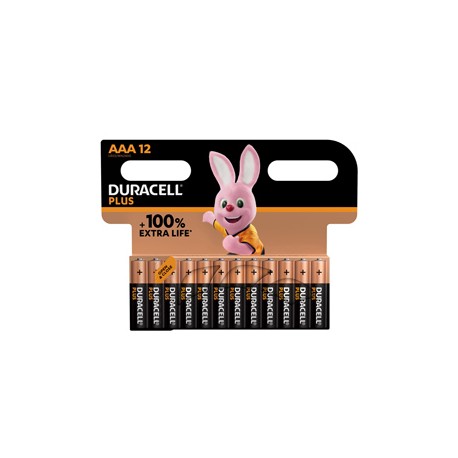 Blister 12 pile MiniStilo AAA - Plus 100 - Duracell