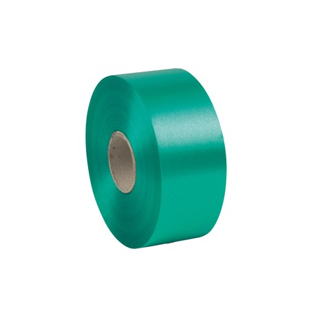 Nastro liscio 6800 - in polipropilene - 50mmx100mt - verde bandiera 09 - Brizzolari