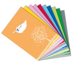 Coprimaxi Green - 21 x 30 cm - carta - 120gr  - c/tasche - verde - Colorosa