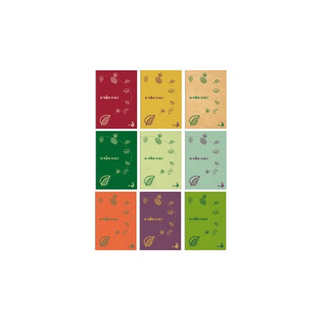 Maxiquaderno Be More Planet - A4 - 5 mm - c/margine - 38 fogli - 80gr - BM