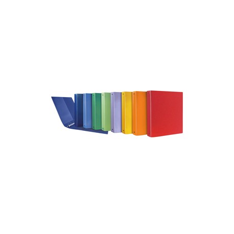 Raccoglitore Terra - 4 anelli a R 30 mm - 22 x 30 cm - dorso 4 cm - PP riciclato - colori assortiti - Sei Rota