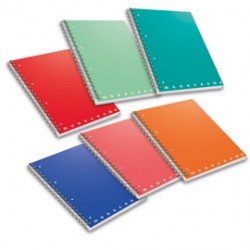 Quaderno Monocromo - A5 - 70 fogli - 80 gr - s/fori - spiralato - 1 rigo - Pigna