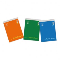 Blocco Colours - A5 - 150 x 210mm - 60 gr - 60 fogli - 5mm - Pigna