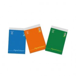 Blocco Colours - A6 - 100 x 150mm - 60 gr - 60 fogli - 5mm - Pigna