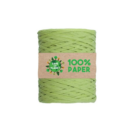 Nastro Rafia - 100 m - carta - verde 10 - Brizzolari