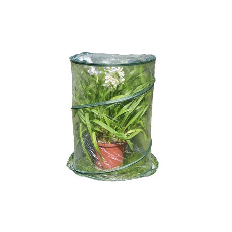 Serra Pop-up Anthurium - 70 x 100 cm - trasparente - Verdemax