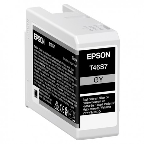 Epson - Cartuccia UltraChrome Pro 10 - Grigio scuro - C13T46S700 - 25 ml