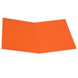 Cartellina semplice - 200 gr - A4 - cartoncino bristol - arancio - Starline - conf. 50 pezzi