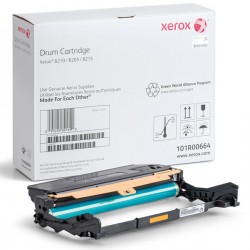 Xerox - Tamburo - Nero - 101R00664 - 10.000 pag