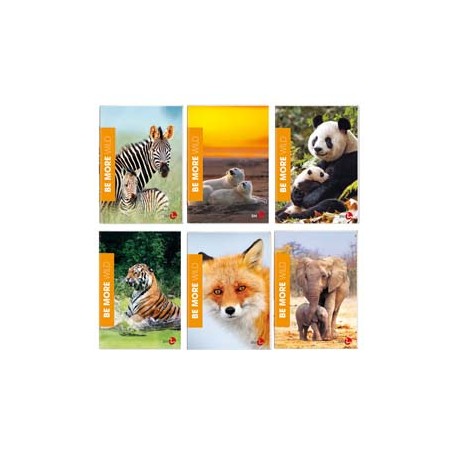 Maxiquaderno Be More Wild - A4 - 4mm c/margine - 36+2 fogli - 100gr - BM