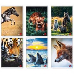 Maxiquaderno Animal fantasia - A4 - rigo di 1a -  40+2 fogli - 80gr - BM