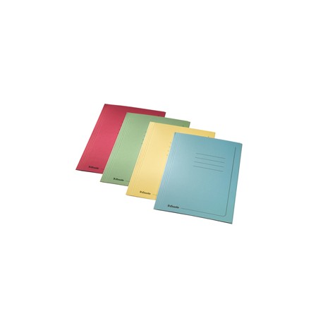 Cartelline 3 lembi - con stampa - cartoncino 295 gr - 25x35 cm - verde - Esselte - conf. 25 pezzi